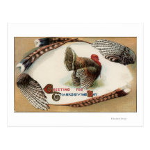 Penas de Turquia Cartão Postal
