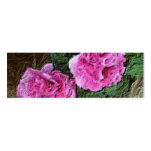 Peônias cor-de-rosa modelo cartões de visita