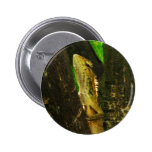 Perfil da iguana boton