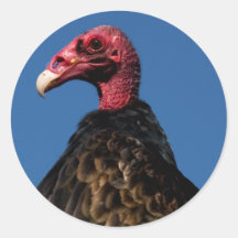 Perfil do abutre adesivo