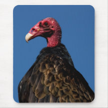 Perfil do abutre mousepads