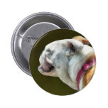 Perfil inglês do buldogue pins