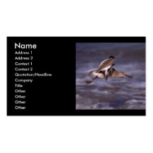 perfil ou cartão de visita, willet