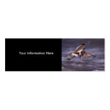 perfil ou cartão de visita, willet