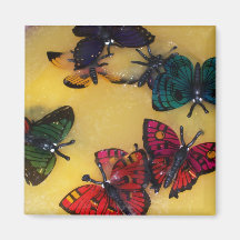 Perfurador da borboleta imas