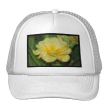 Personalize o produto bonés