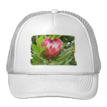Personalize o produto bones