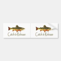 Pesca da truta da captura & da liberação adesivo