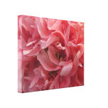 Pétalas cor-de-rosa da papoila impressão de canvas esticadas