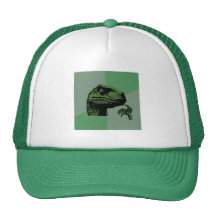 Philosoraptor vazio bones