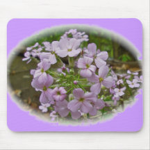 Phlox selvagem Mousepad