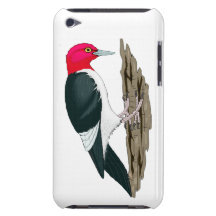 Pica-pau dirigido vermelho no ramo de árvore capas iPod Case-Mate