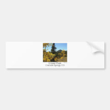 Pico de cristal adesivos
