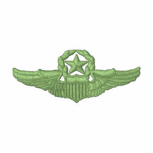 Piloto pequeno do comando