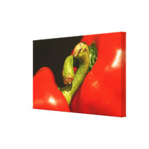 Pimento em Love Impressão De Canvas Esticadas