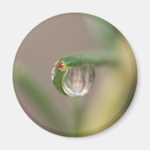 Pingo de chuva vermelho da ponta imã