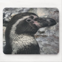 Pinguim Mousepad