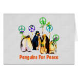 Pinguins da paz cartao