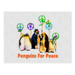 Pinguins da paz cartão postal