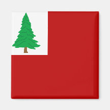 Pinho de Nova Inglaterra, os Estados Unidos Ima