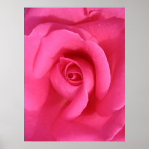 Pinkest aumentou posteres