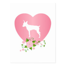 Pinscher diminuto cartão postal