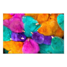 Pintinhos coloridos como o fundo foto