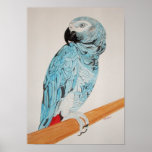 Pintura do cinza africano posters