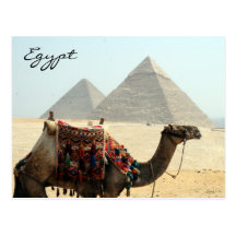 pirâmide de Egipto do camelo Cartao Postal