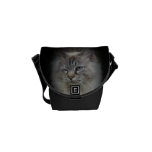 Pisc a Catrina o mini saco bolsas mensageiro da rickshaw