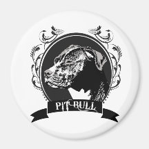 PITBULL (3) IMA