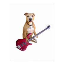 Pitbull com guitarra cartoes postais