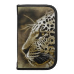 Planejadores de Jaguar 1 Organizador