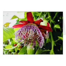 Plantas das flores na árvore cartão