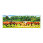 Polegadas dos cavalos [36x12] impressão de canvas envolvidas