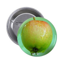 Pombo de Apple Pins