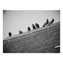 Pombos em um telhado foto