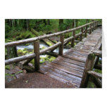 Ponte, fuga do desfiladeiro do rio de Breitenbush Cartao