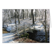 ponte no inverno cartao
