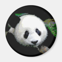 Pop art da panda imãs de geladeira