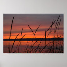 Por do sol de Semiahmoo Poster