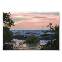 Por do sol dos manguezais impressão de fotos