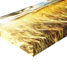 Por do sol dourado impressão de canvas esticadas