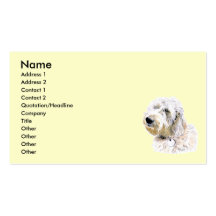 Pôr manteiga os cartões de visitas de Labradoodle