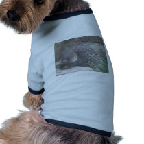 porco- roupas para animais de estimação