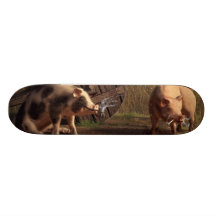 Porcos maus skate