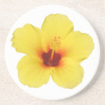 Portas copos amarelas do hibiscus porta-copos
