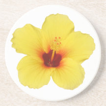 Portas copos amarelas do hibiscus porta-copos