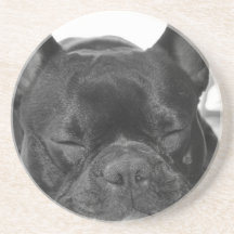 Portas copos do buldogue francês porta copo para bebidas
