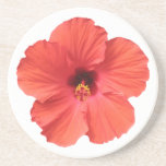 Portas copos vermelhas do hibiscus porta-copos